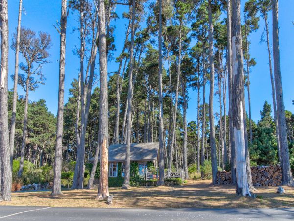 Mendocino Home 982888