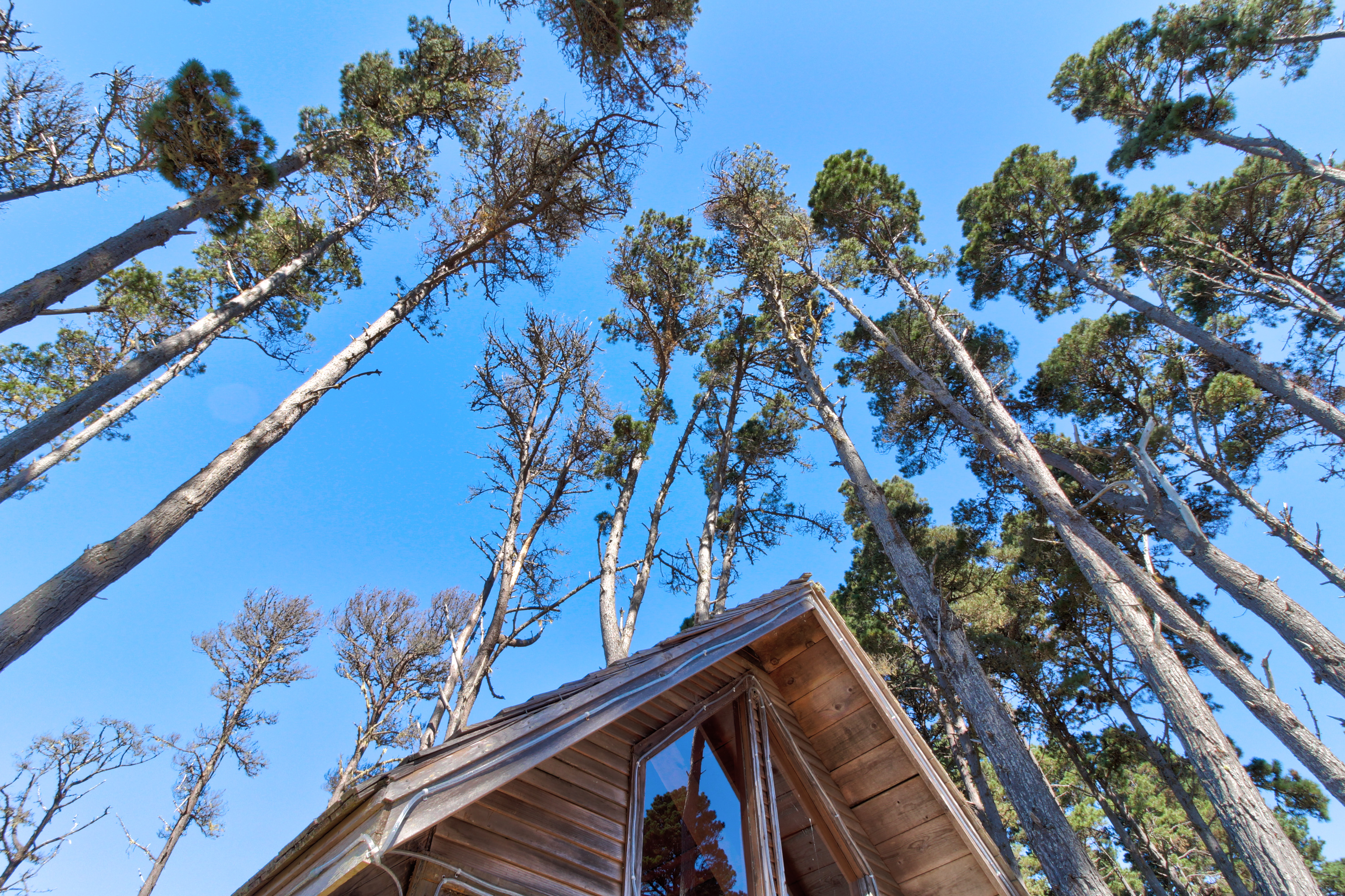 Mendocino Home 982888