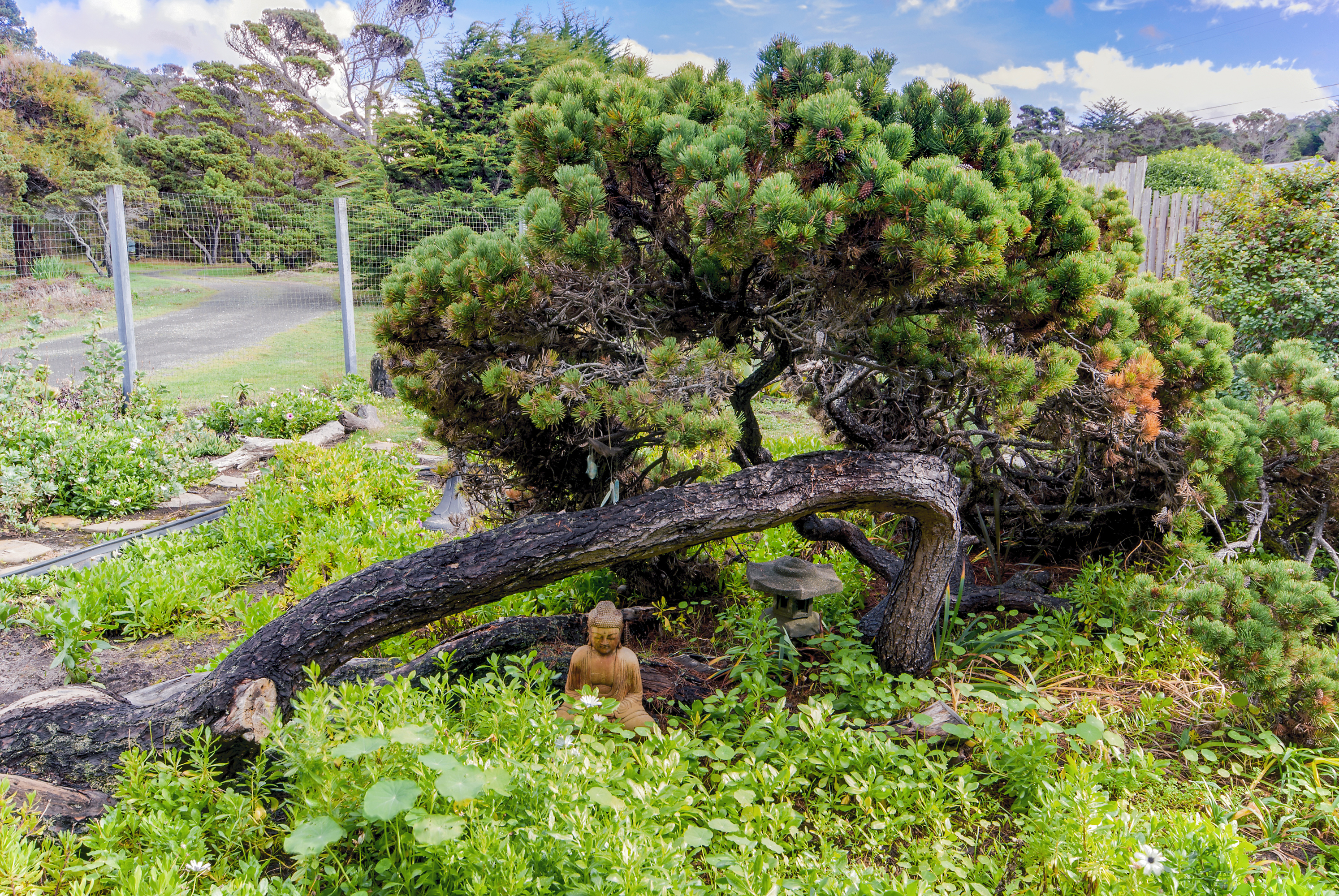 Mendocino Home 982889