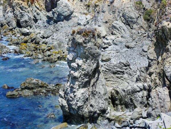 Mendocino Home 982890