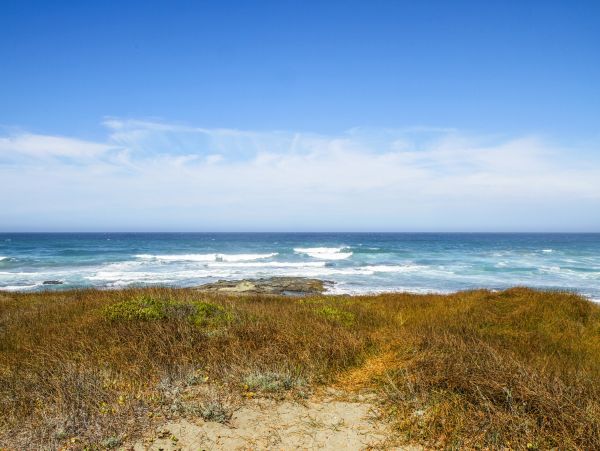 Mendocino Home 982895