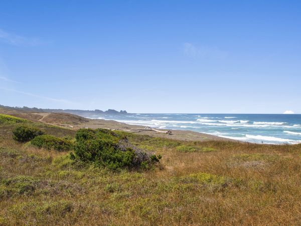 Mendocino Home 982895