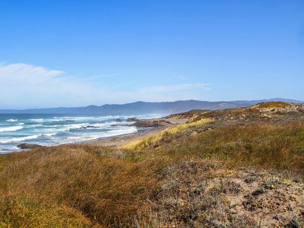 Mendocino Home 982896