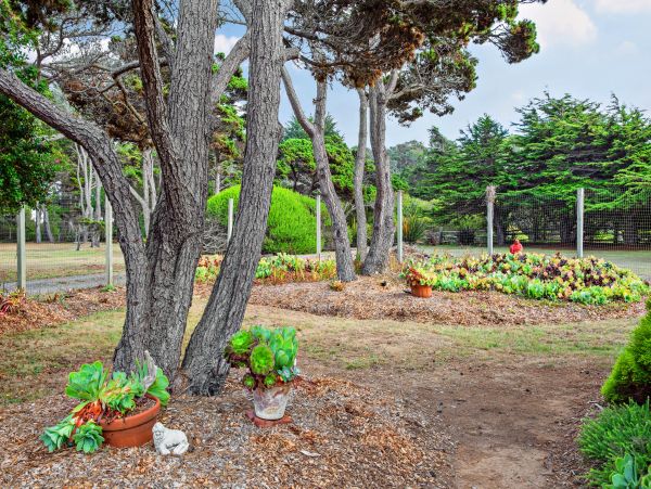 Mendocino Home 982897