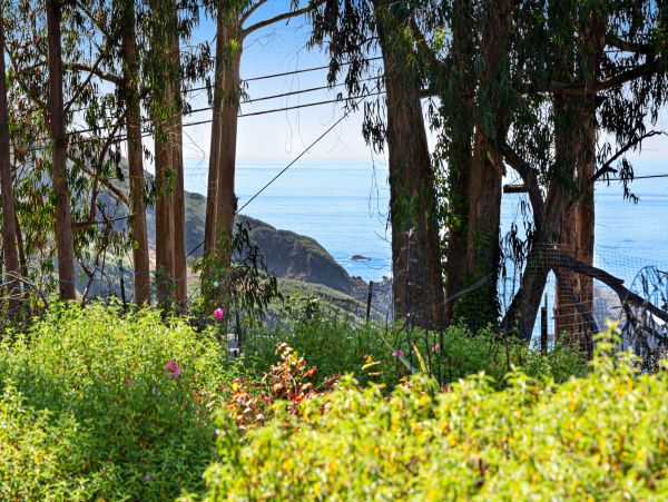 Mendocino Home 982901