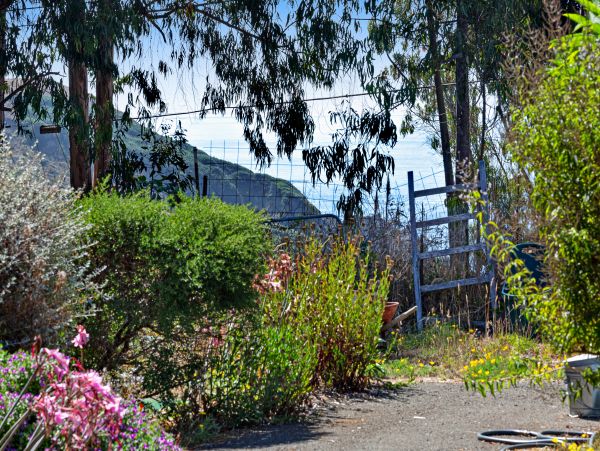 Mendocino Home 982901