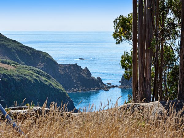 Mendocino Home 982901