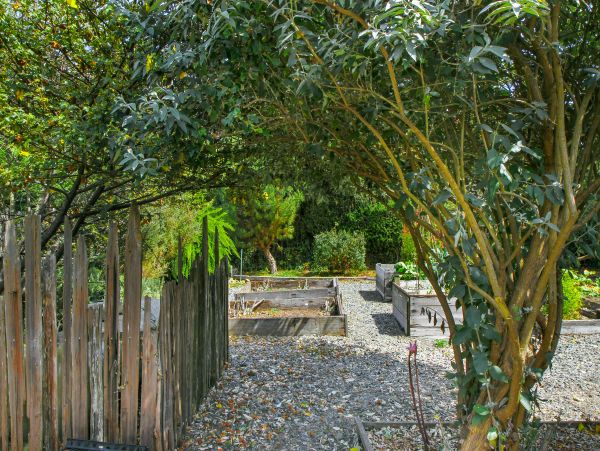 Mendocino Home 982904