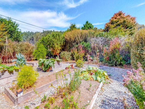 Mendocino Home 982904