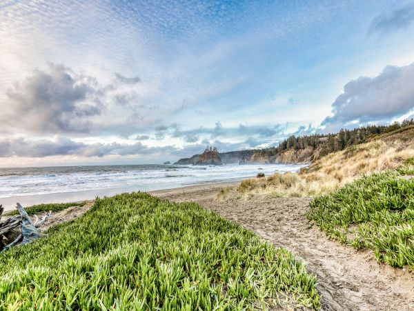 Mendocino Home 982912