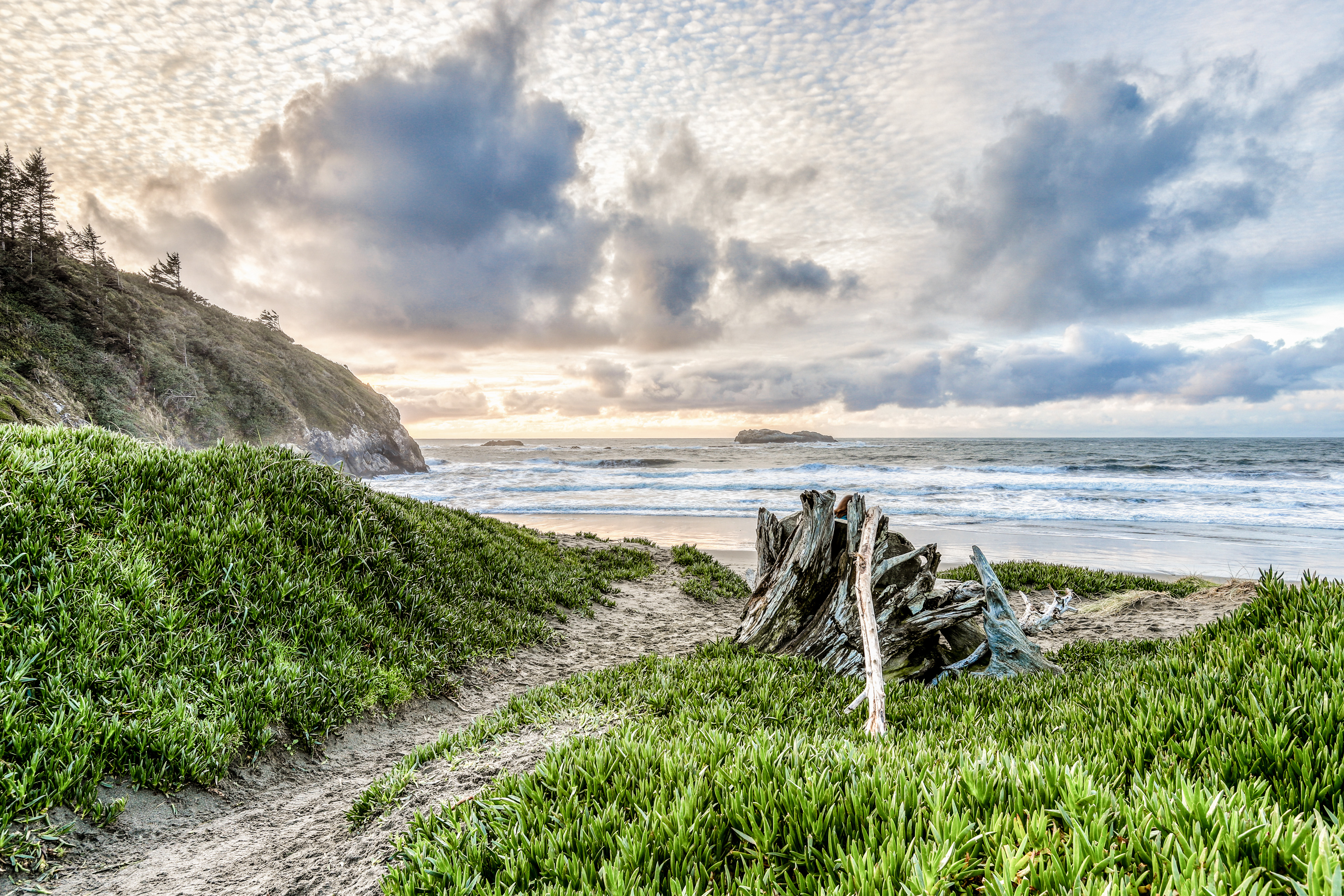 Mendocino Home 982912