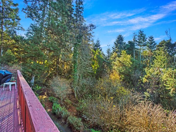 Mendocino Home 982928