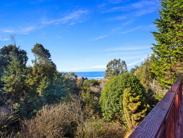 Mendocino Home 982928
