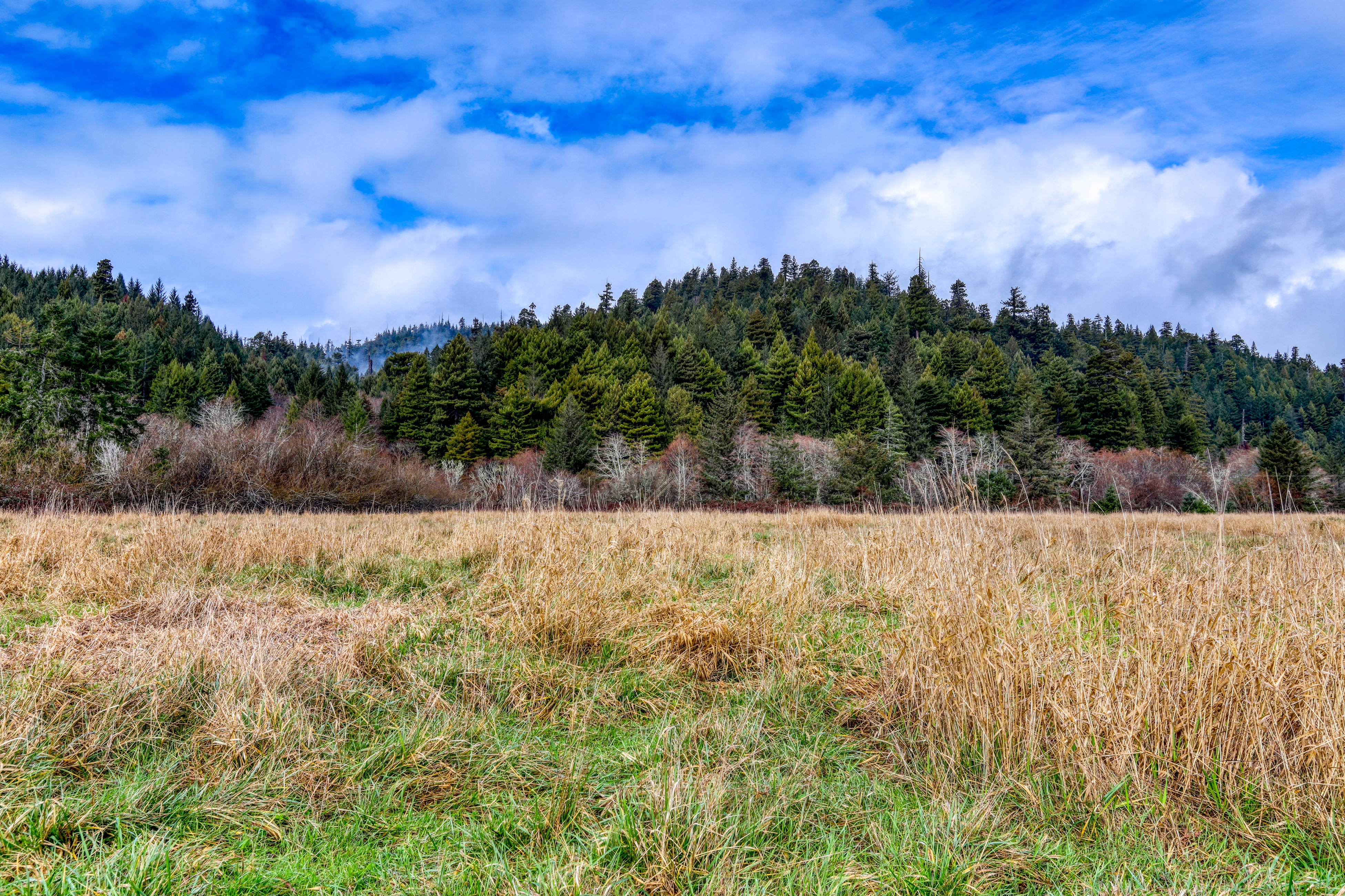 Mendocino Home 982931