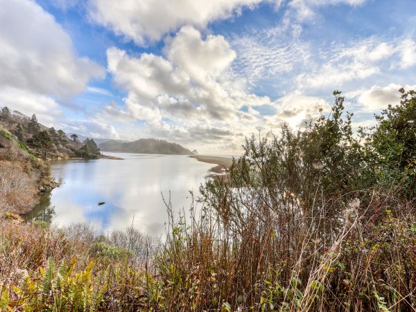 Mendocino Home 982932