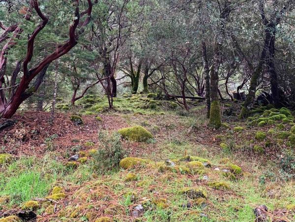 Mendocino Home 982937