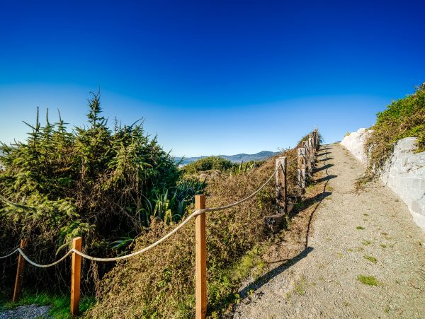 Mendocino Home 982938