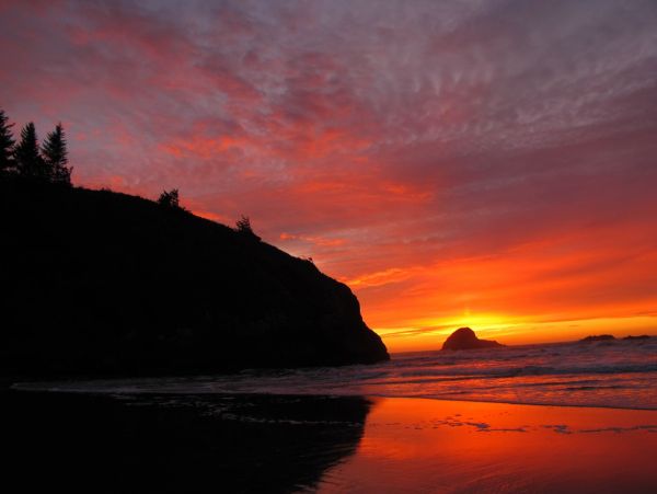 Mendocino Home 982943