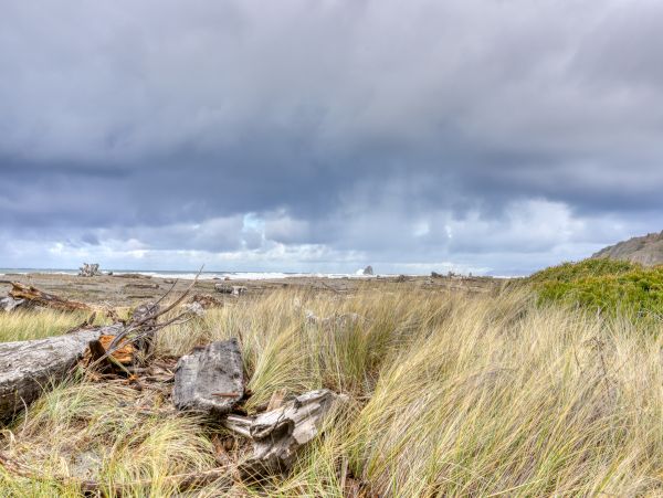Mendocino Home 982947