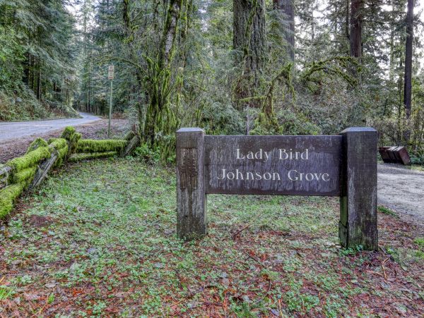 Mendocino Home 982947