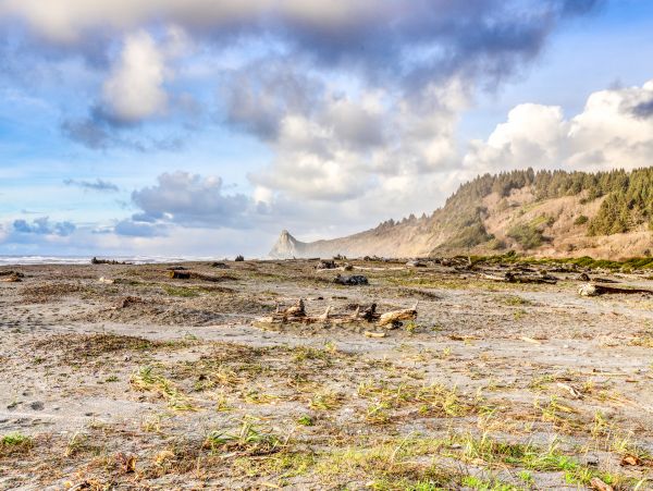 Mendocino Home 982947