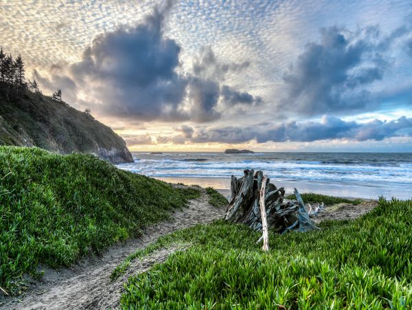 Mendocino Home 982948