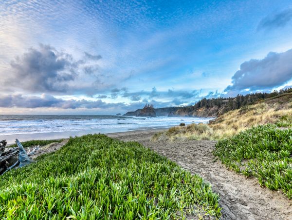 Mendocino Home 982948