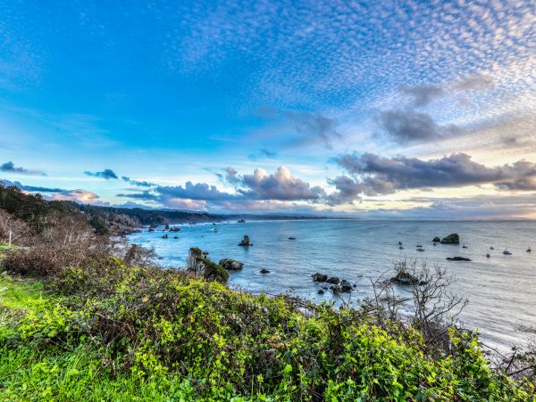 Mendocino Home 982948