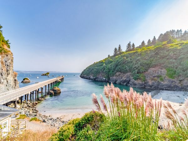 Mendocino Home 982949