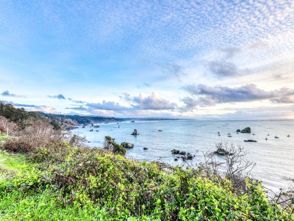 Mendocino Home 982957