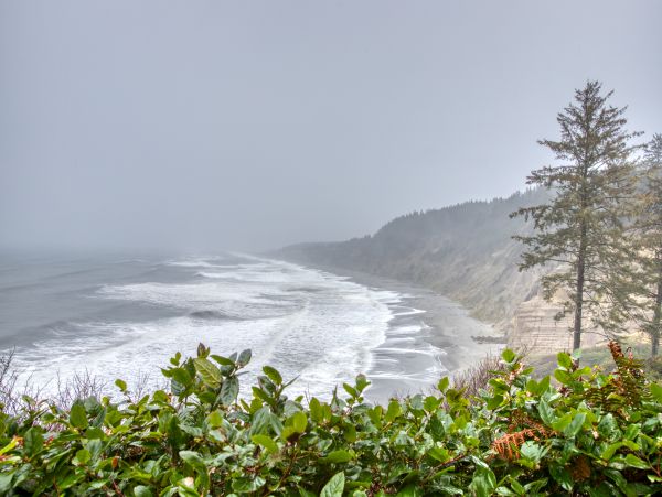 Mendocino Home 982957