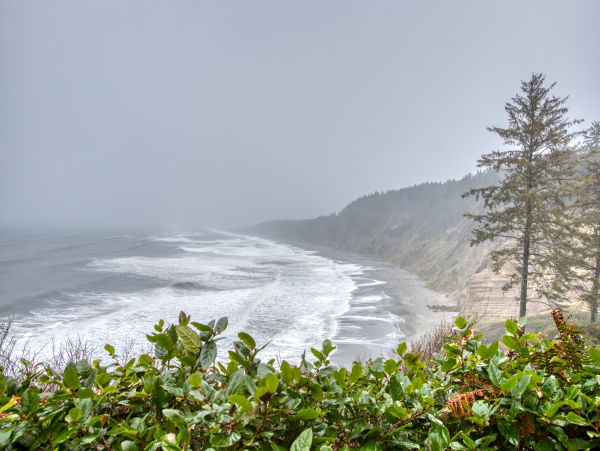 Mendocino Home 982958
