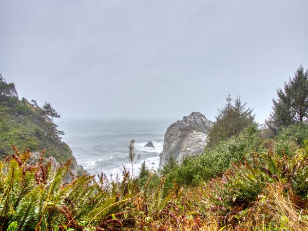 Mendocino Home 982958