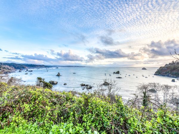 Mendocino Home 982958