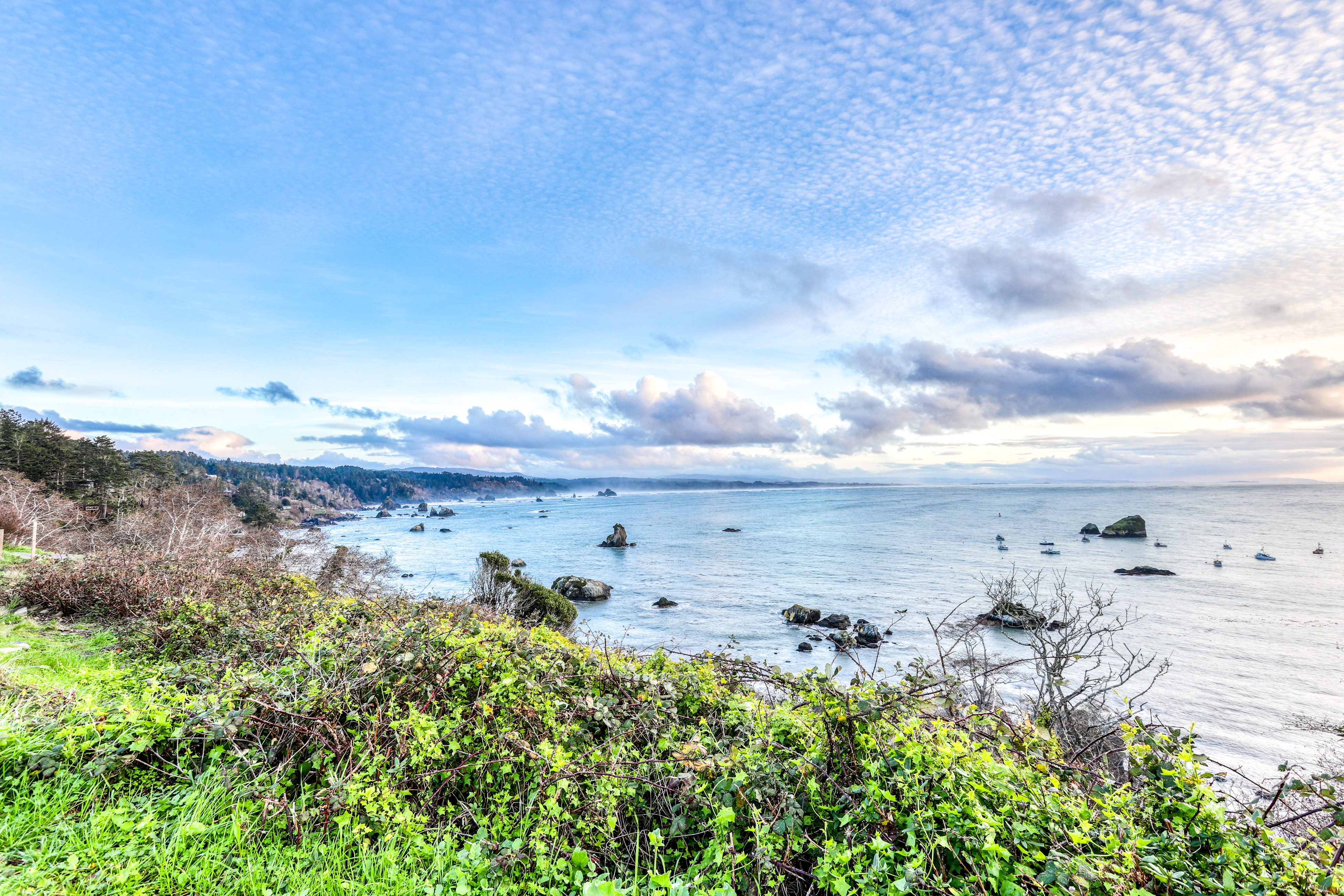 Mendocino Home 982958