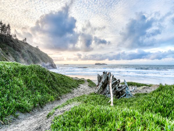 Mendocino Home 982976