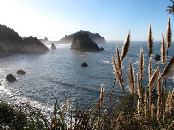 Mendocino Home 982979