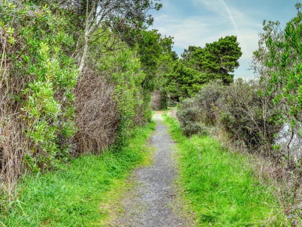 Mendocino Home 982983