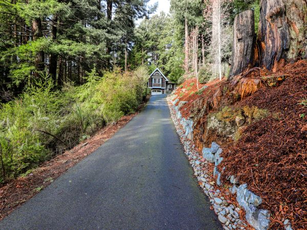 Mendocino Home 982986