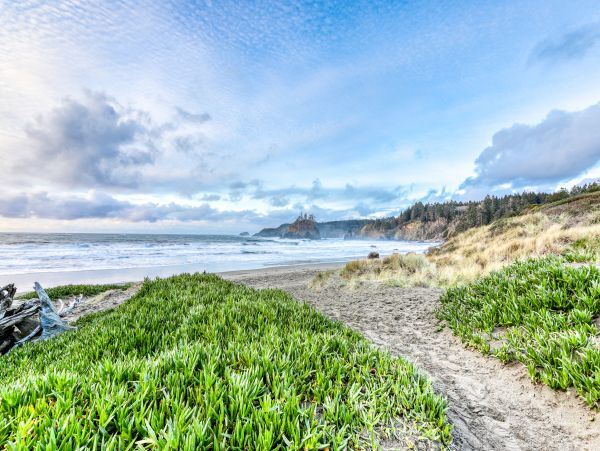 Mendocino Home 982995