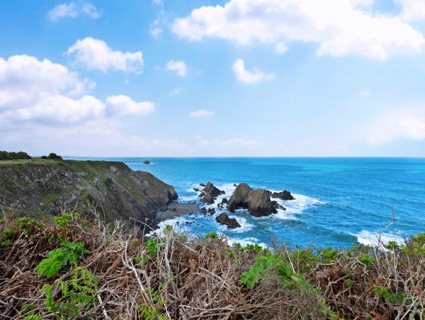 Mendocino Home 982996