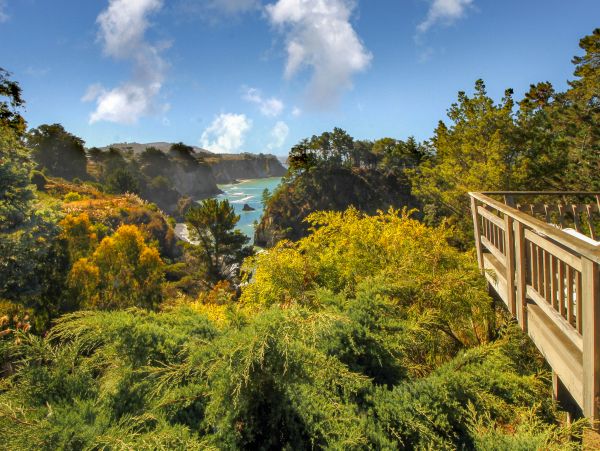 Mendocino Home 982998