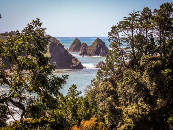 Mendocino Home 982998