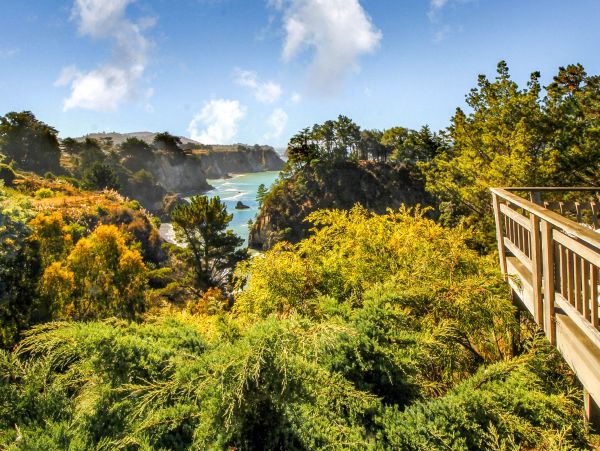 Mendocino Home 982999