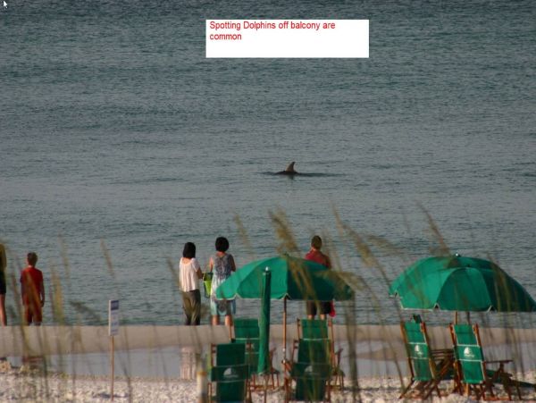 Destin Condo 983000
