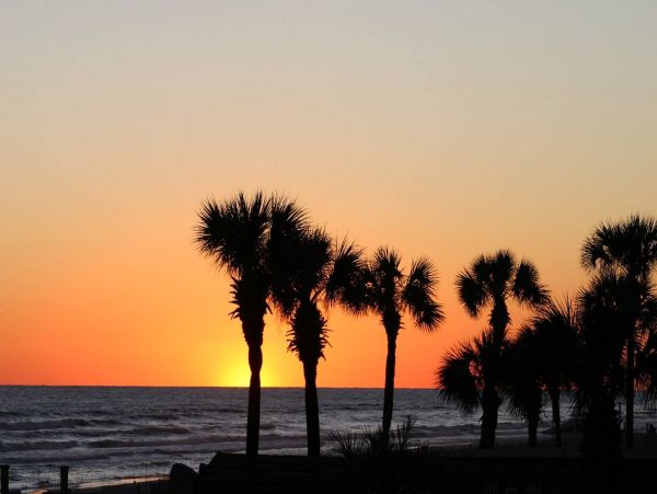 Destin Condo 983000