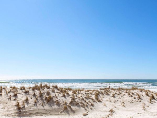 Destin Condo 983010
