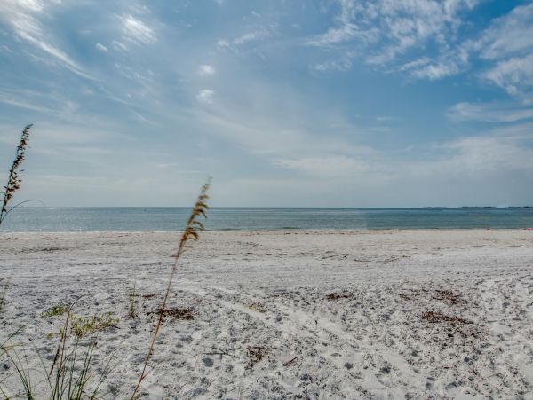 Cape Coral Home 983136