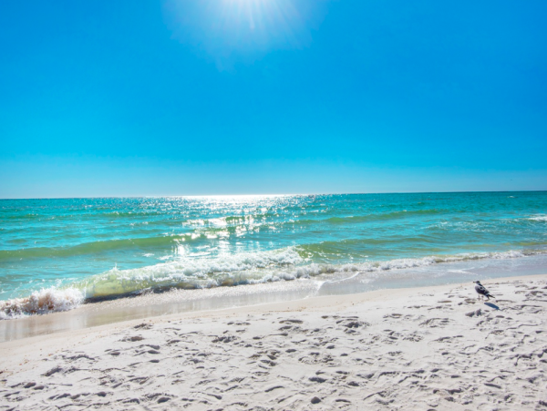 Classic Florida Charm Just Steps from the Gulf