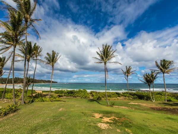 Kauai Beachfront Villa 4 bedrooms + Bonus room.